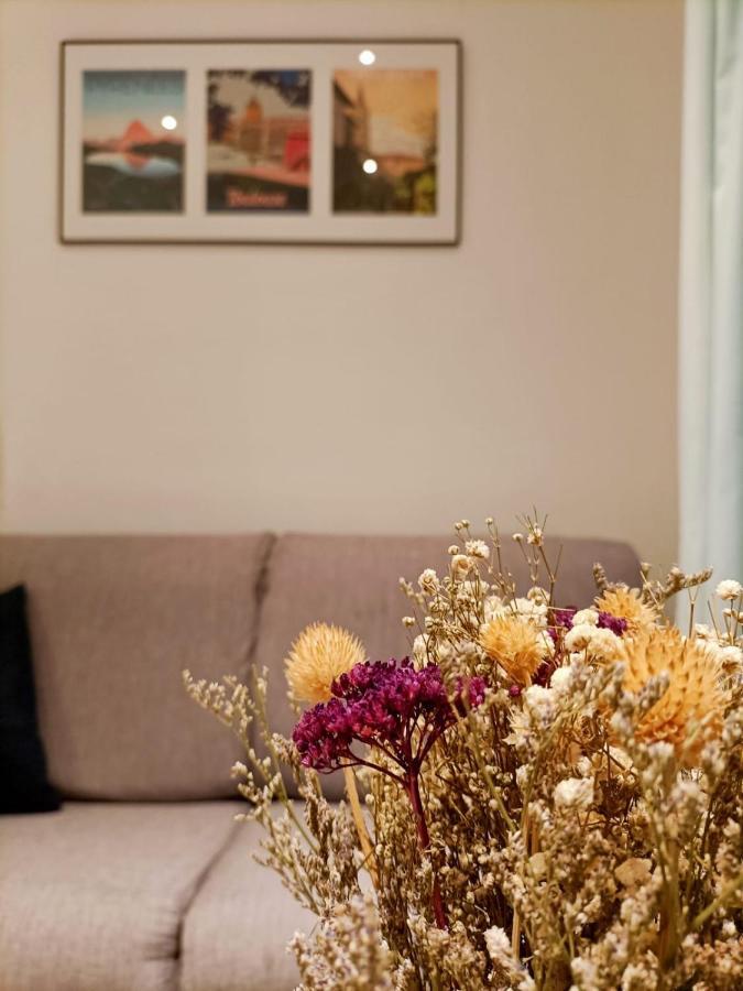 Quiet Studio In St Peter's Square Apartment Toulouse